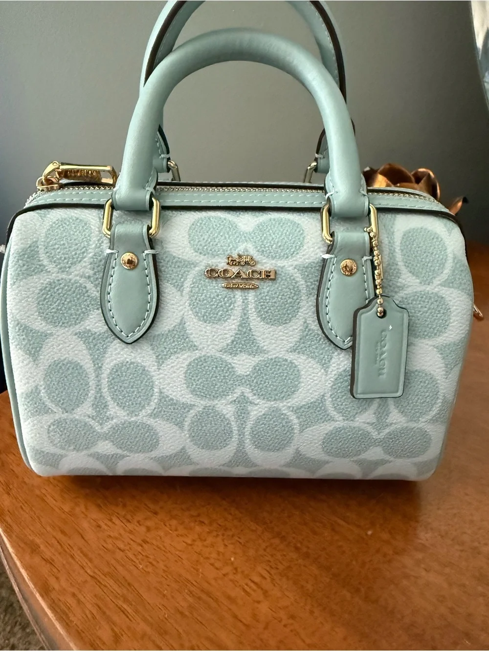 Coach Mini Rowan in light blue Signature Canvas